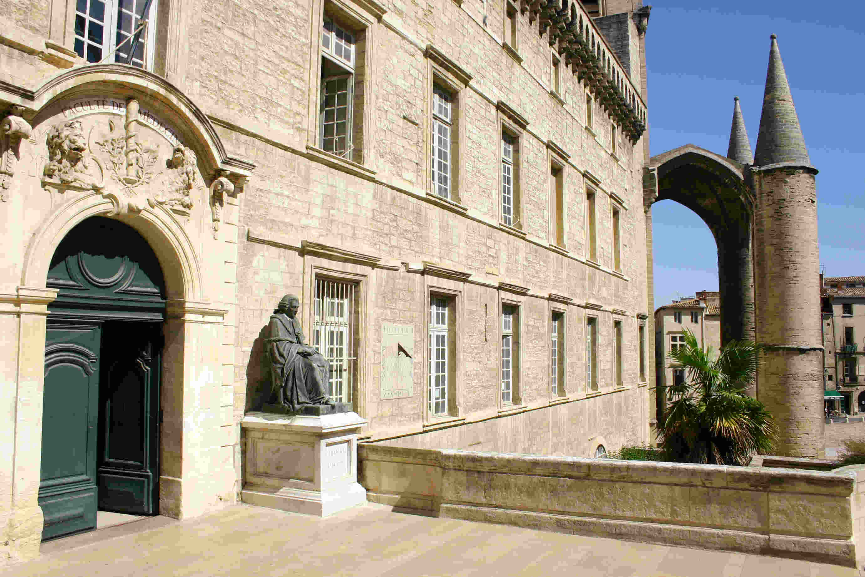 Faculty of Medicine